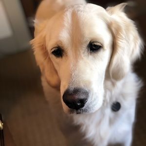 Meet your Posher, Karena